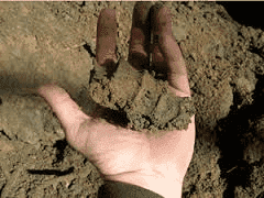 Usługi Geologiczne "Geosolum" Rachwalski Mateusz — zdjęcie 1
