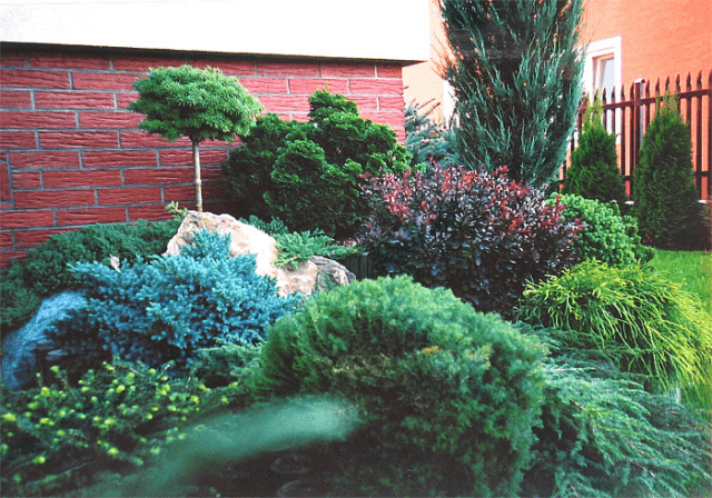GARDENLAND s.c Kraina Ogrodów — zdjęcie 1