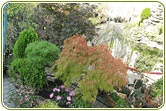 GARDENLAND s.c Kraina Ogrodów — zdjęcie 6