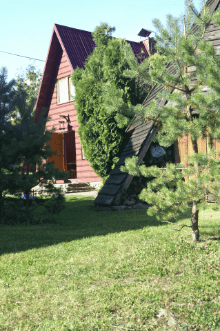 Agroturystyka, noclegi Leputa Bogusław — zdjęcie 2